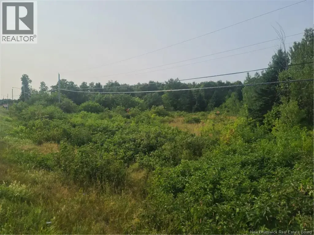 3.7 Acres Route 180, South Tetagouche