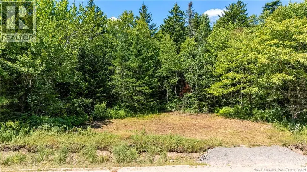 Woodlot Route 935, Rockport