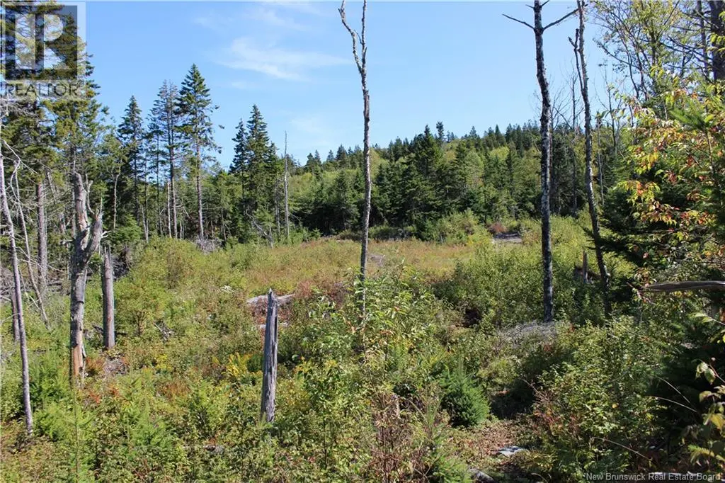 Photo of Listing #NB126381
