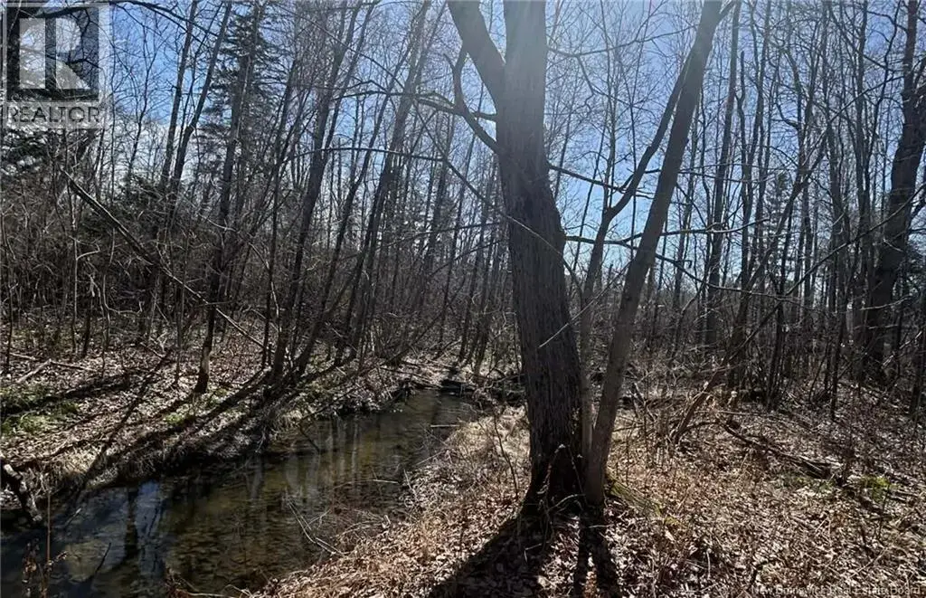 Lot Dr Hamilton Drive, Doaktown