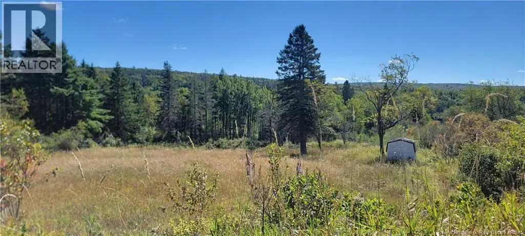 Lot 01-1 Route 121, Riverbank