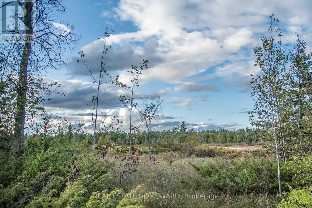 Lot 254 Mcguire Beach Road, Kawartha Lakes (Carden)