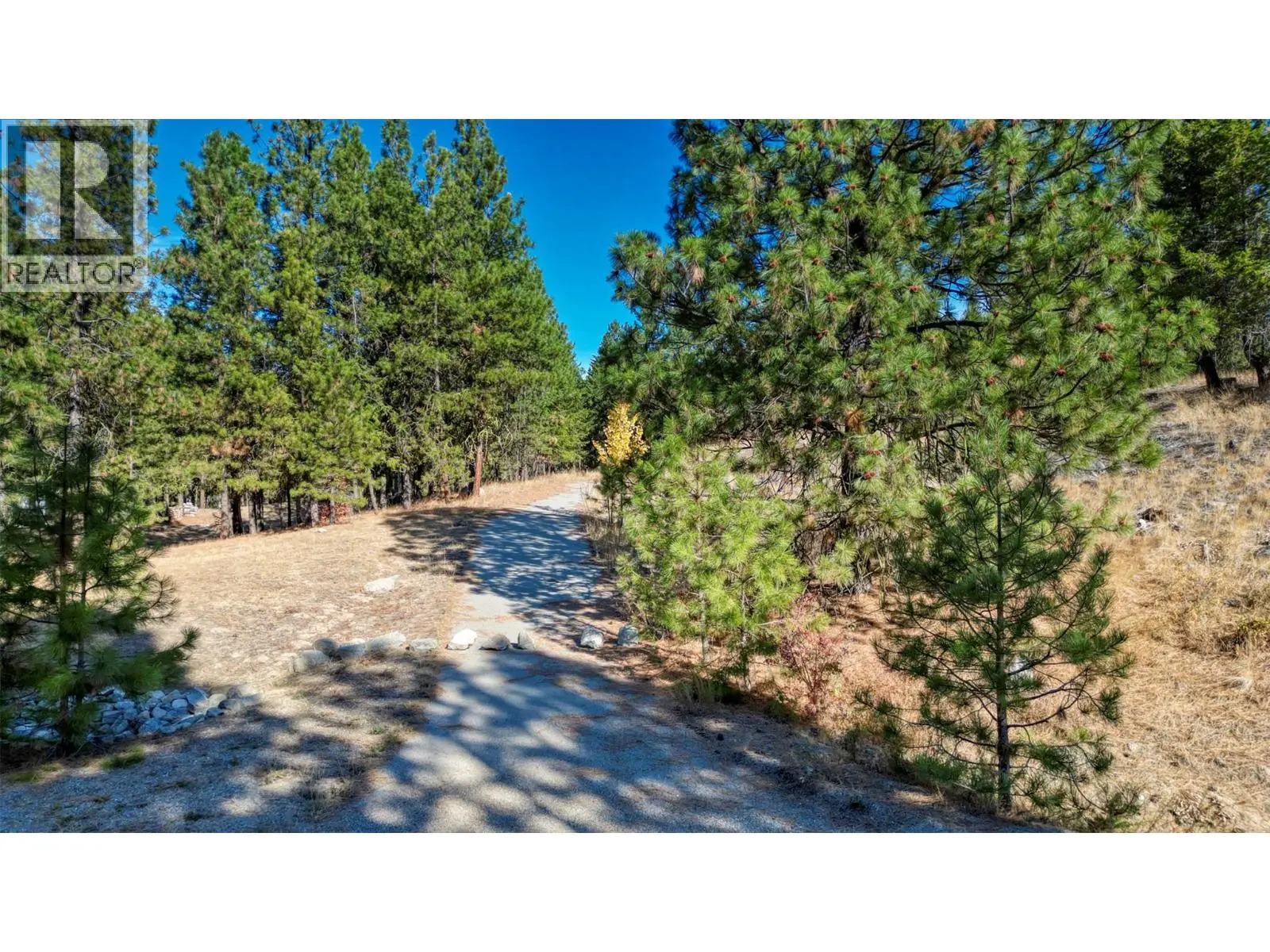 Photo of Listing #10365226