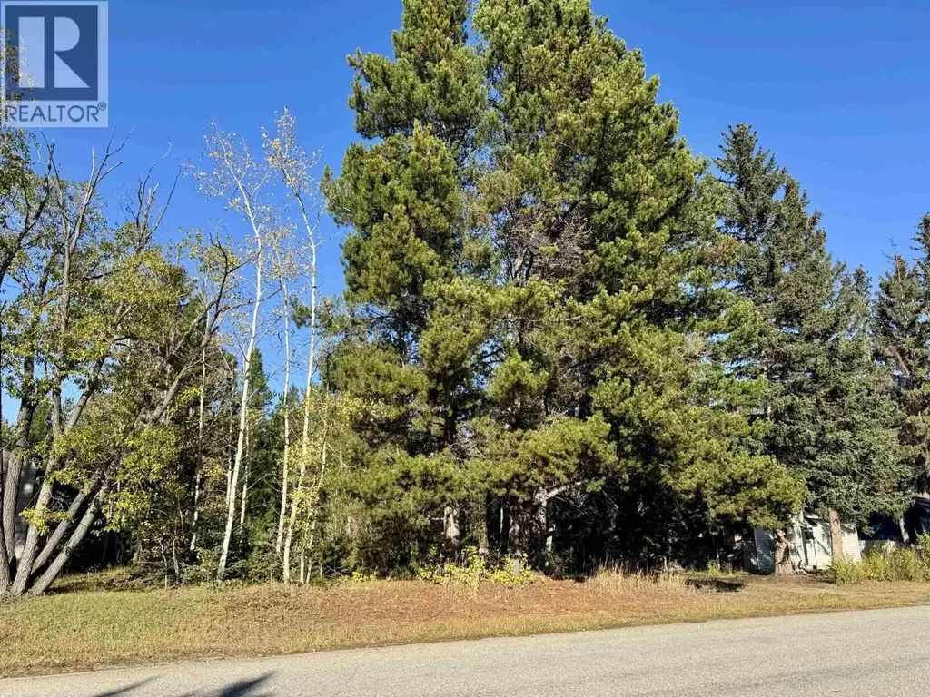 1366 7th Avenue, Valemount