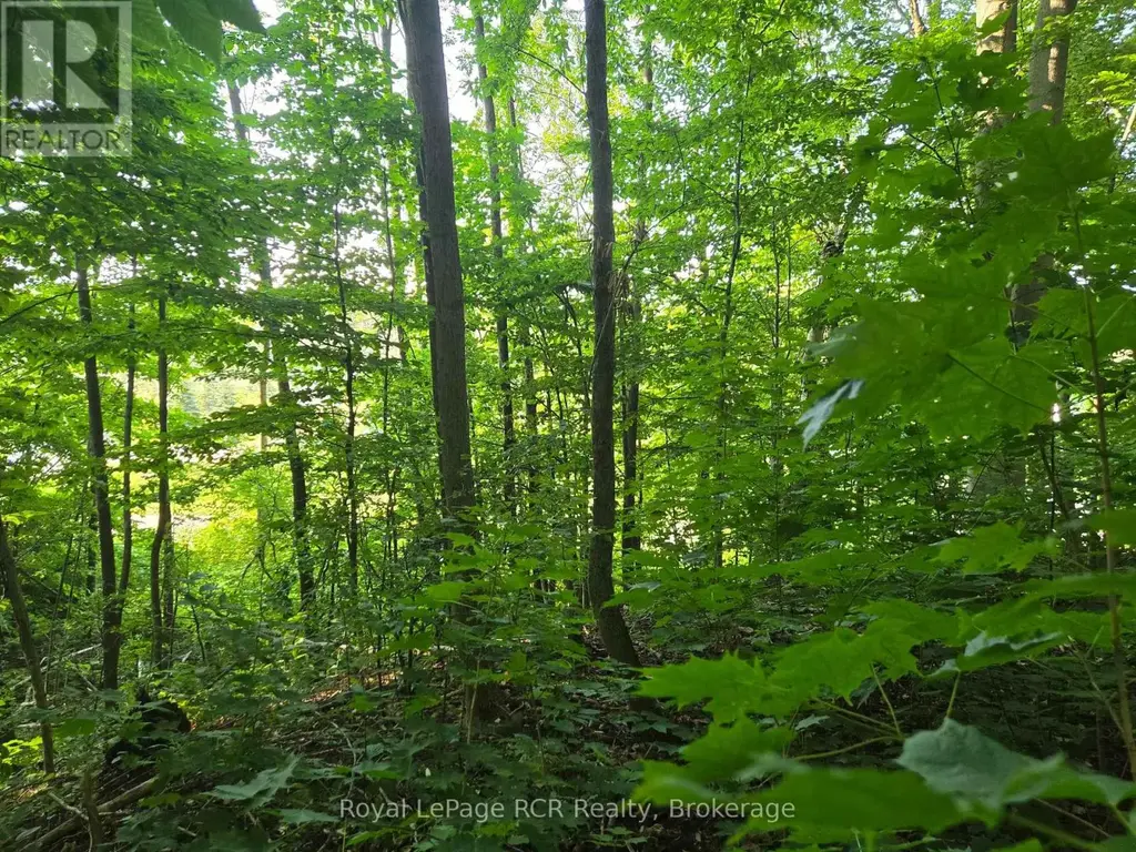 126 Old Highway 26 Highway, Meaford