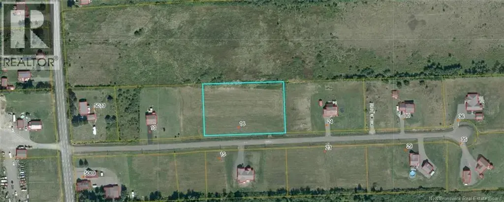 Lot Shari Lane, Cocagne