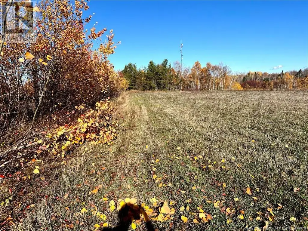 3 Acres Ch Eustache Hache, Saint-Isidore