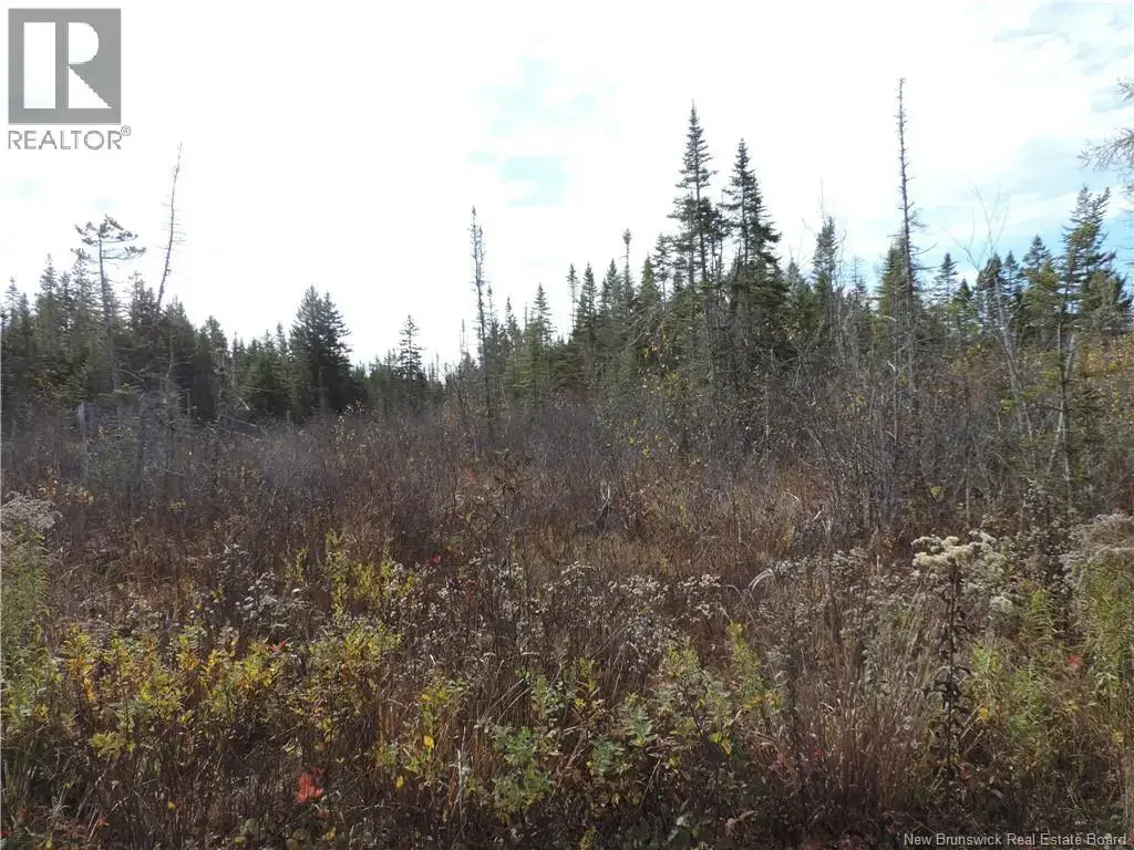 Old Gardner Creek Road, Rowley