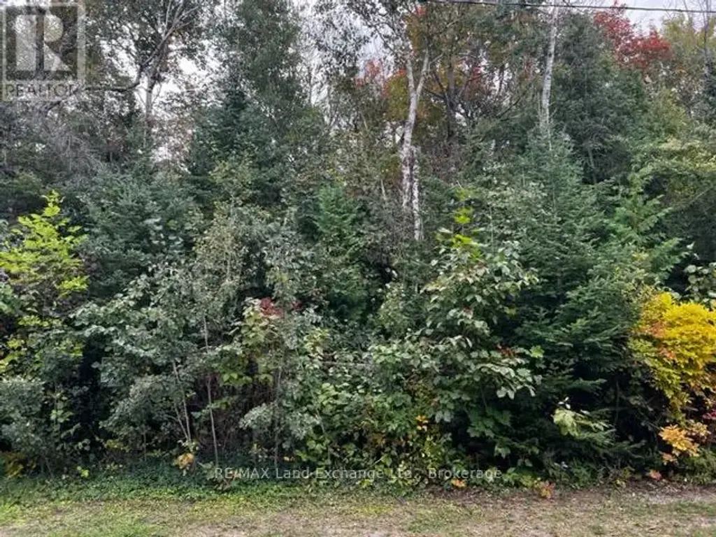 3 Shore Road, Saugeen Shores