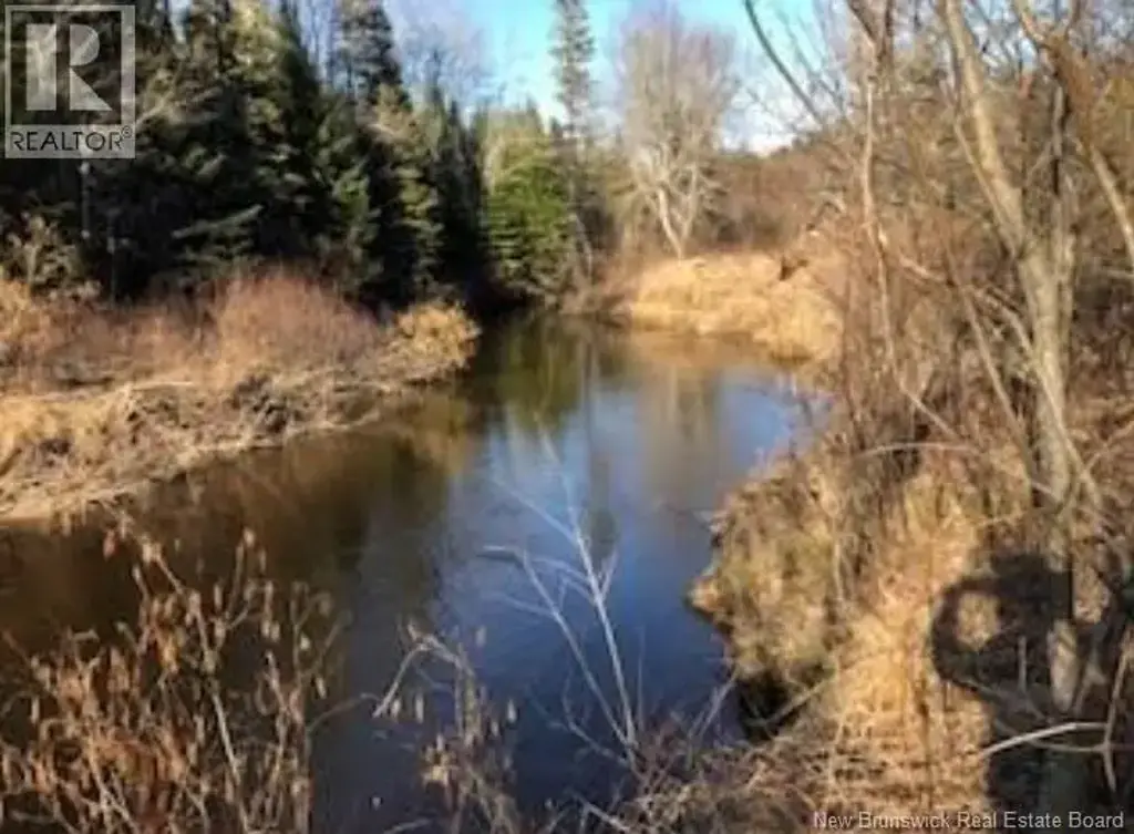 Lot 3227 Route 495, South Branch