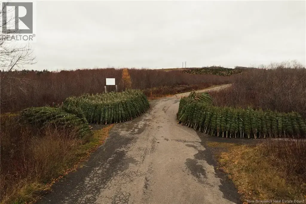 Lot Route 144 Road, Siegas
