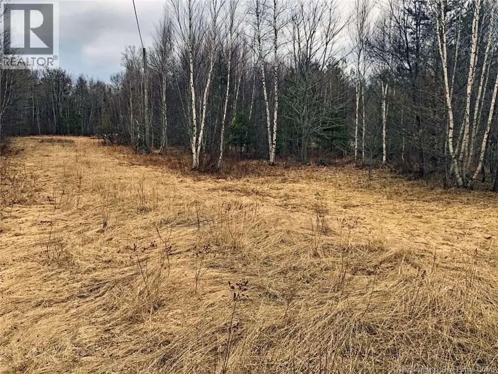 Photo of Listing #NB130779