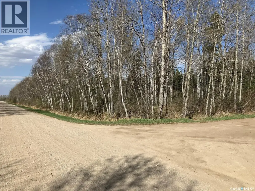 1 W Tamarac Avenue, Nipawin