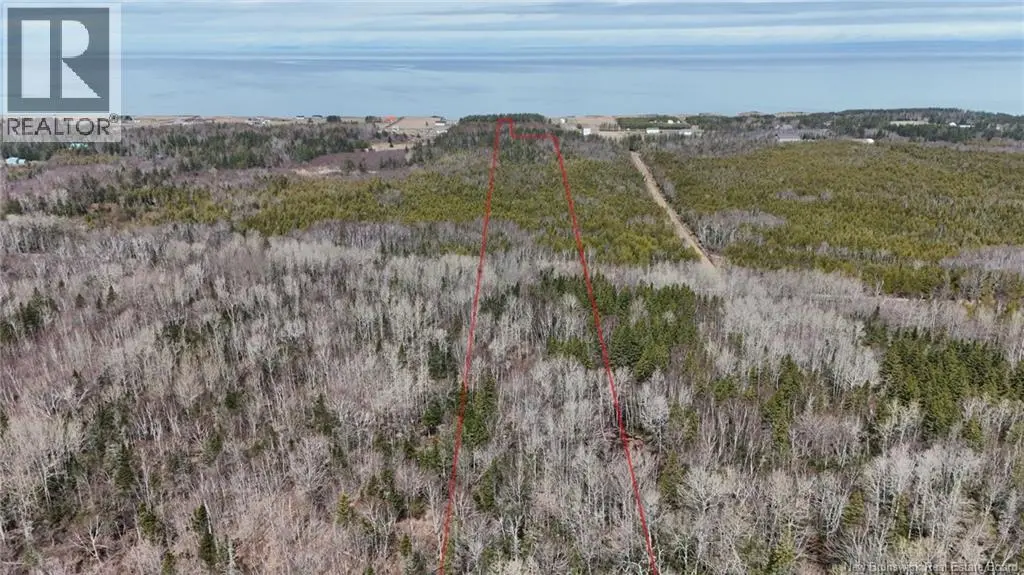 Photo of Listing #NB131749