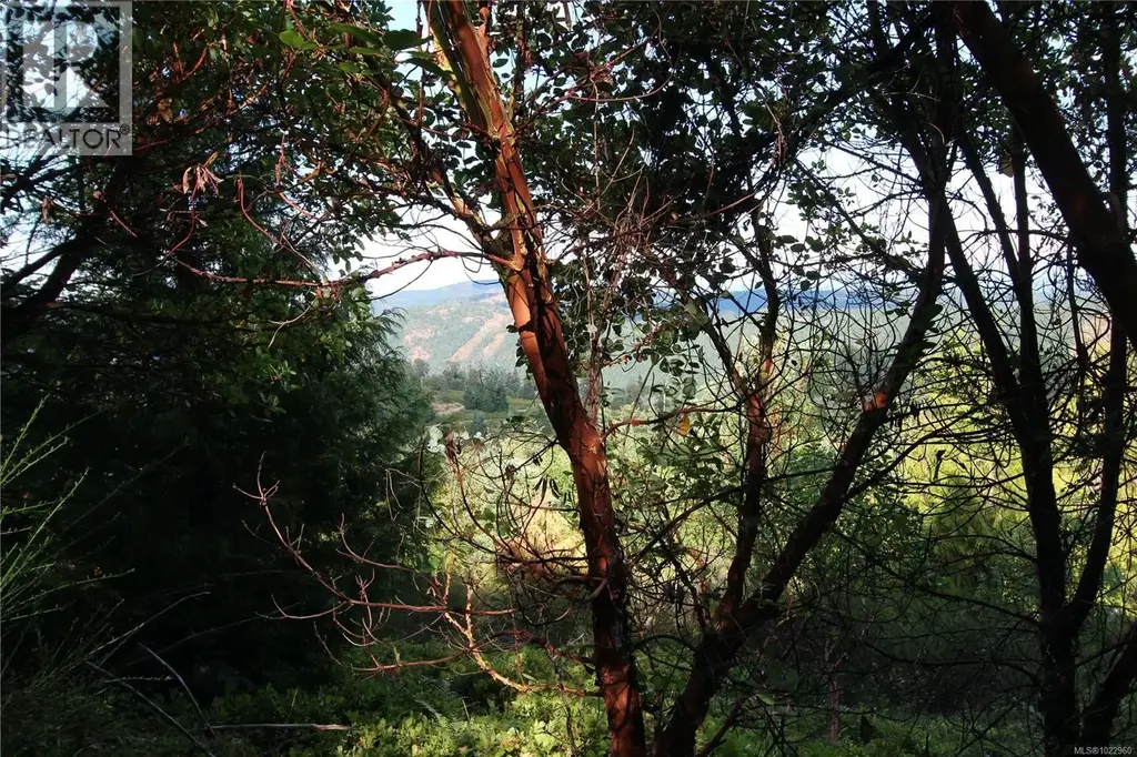 Lot 29 Goldstream Heights Dr, Shawnigan Lake