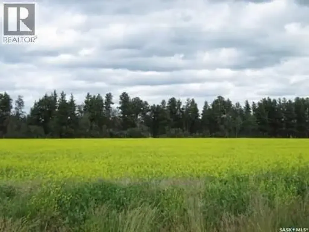 Lot 10 Parcel 3.55 Acres, Nipawin Rm No. 487