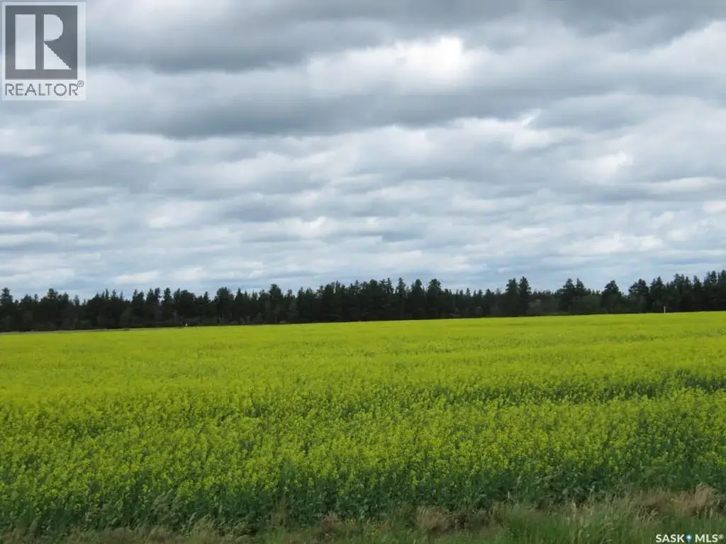 Lot 13 Parcel 3.53 Acres, Nipawin Rm No. 487