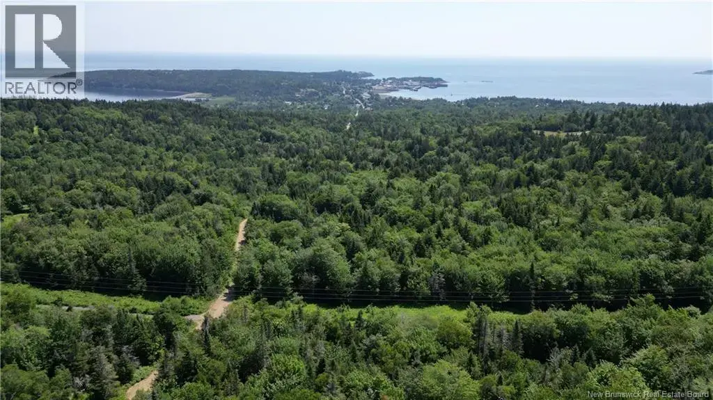 Money Cove Brook, Grand Manan