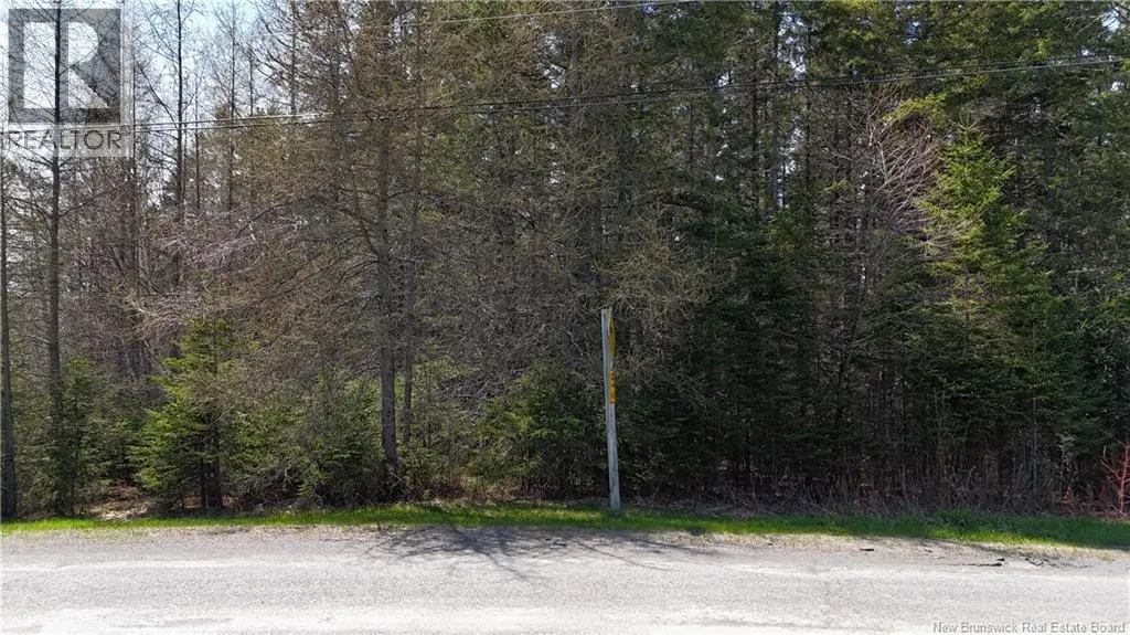Photo of Listing #NB132478
