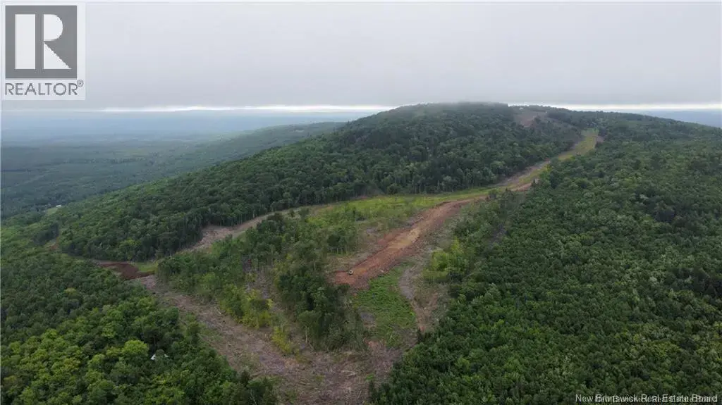 Lot 14 Crabbe Mountain, Central Hainesville