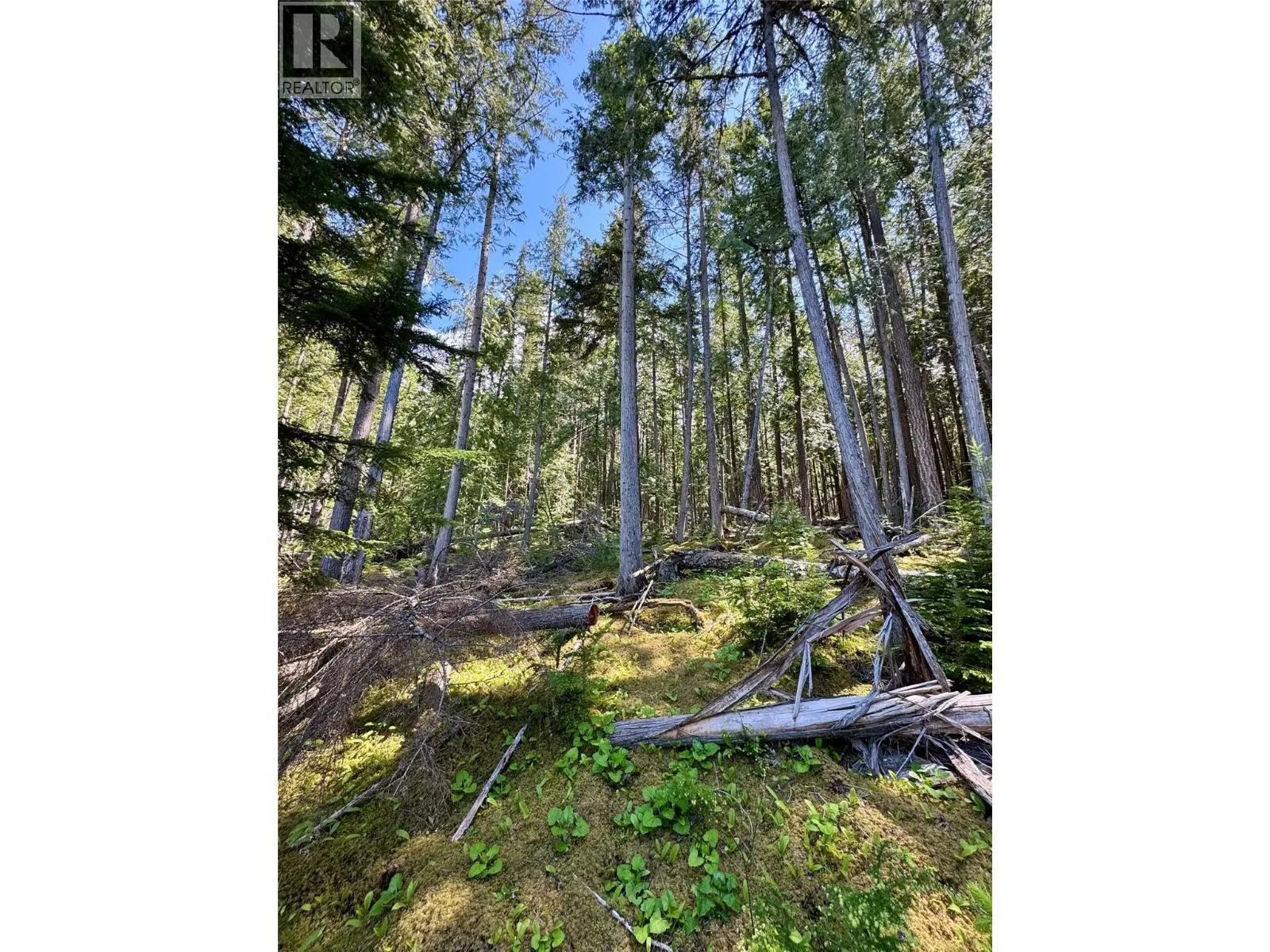 Lot 4 Pete Martin Bay. Sicamous, British Columbia