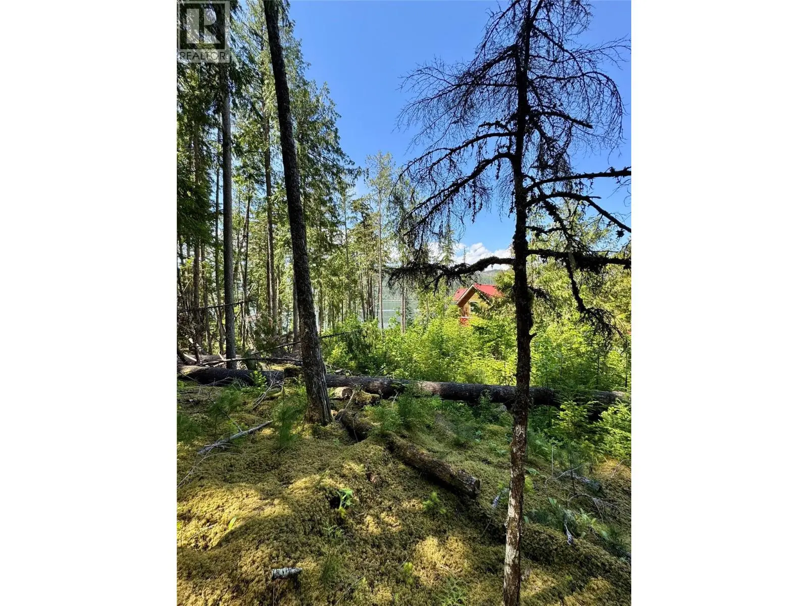 Lot 4 Pete Martin Bay. Sicamous, British Columbia