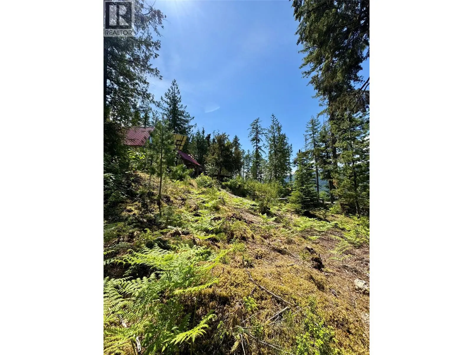 Lot 4 Pete Martin Bay. Sicamous, British Columbia