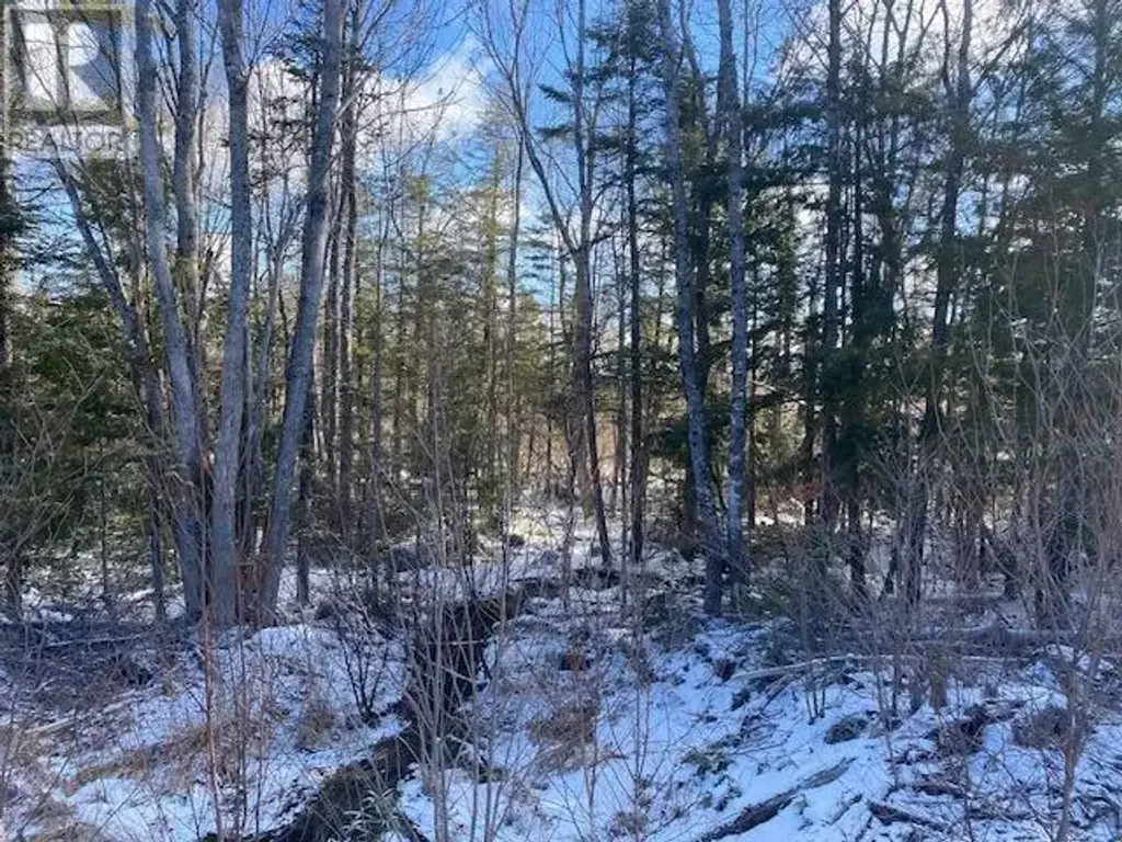 Pid: 60446457 Newburne Road, Newburne