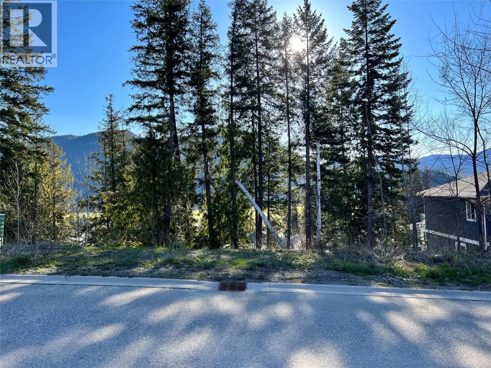 Photo of Listing #10374503
