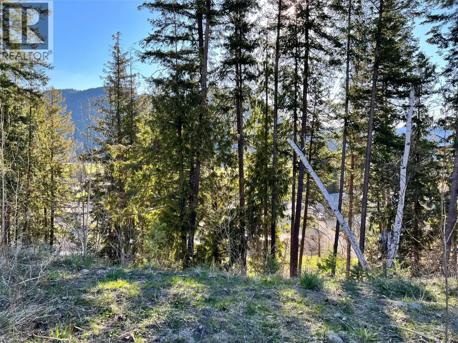 2541 Cedar Ridge Court. Lumby, British Columbia