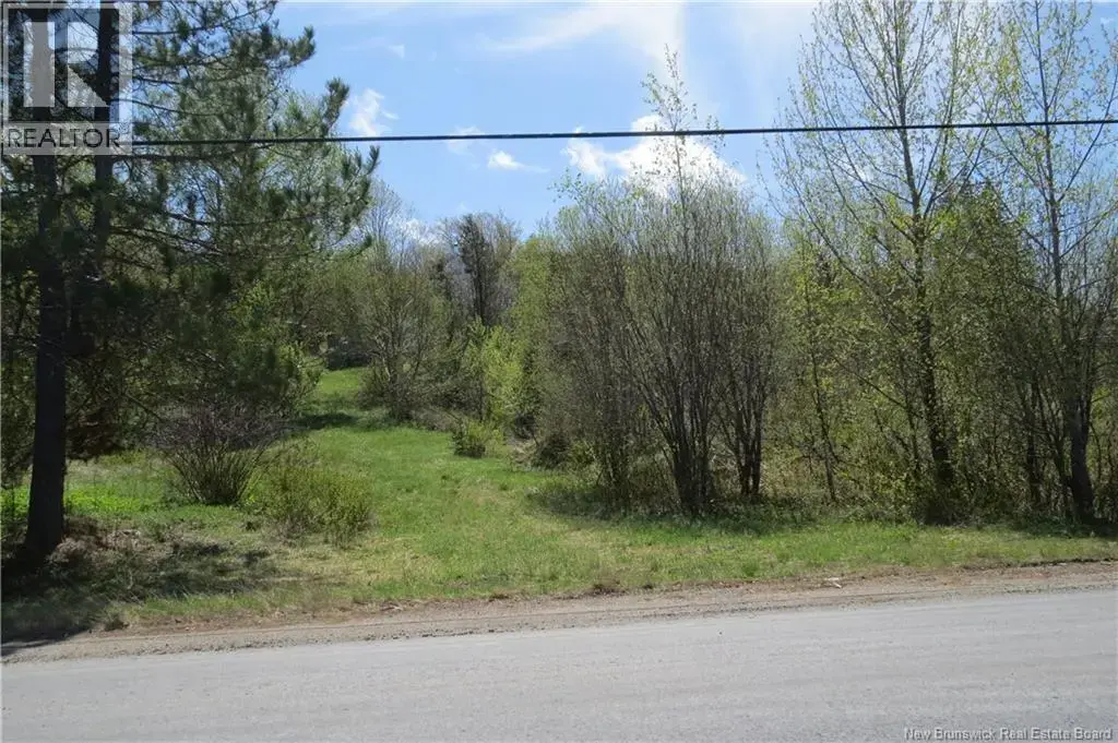29 2nd Avenue, Napadogan