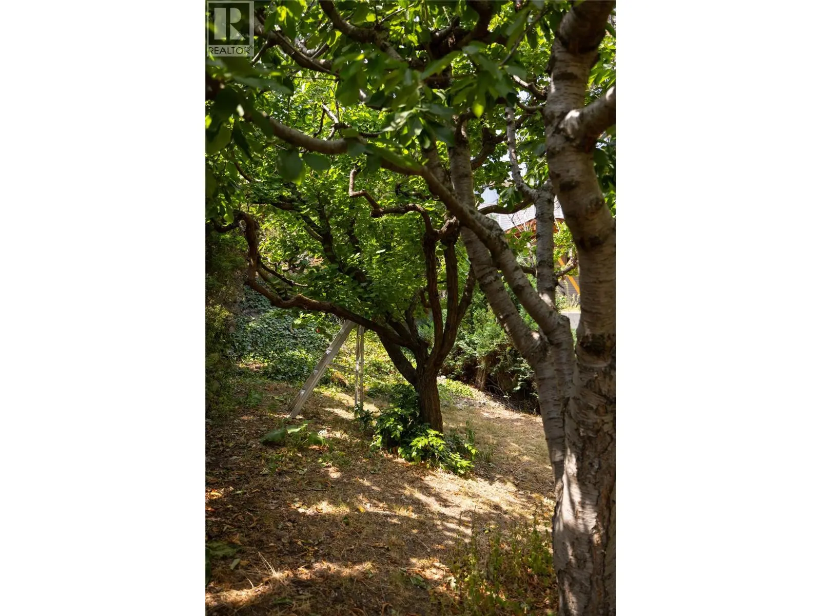 3439 Mciver Road. West Kelowna, British Columbia