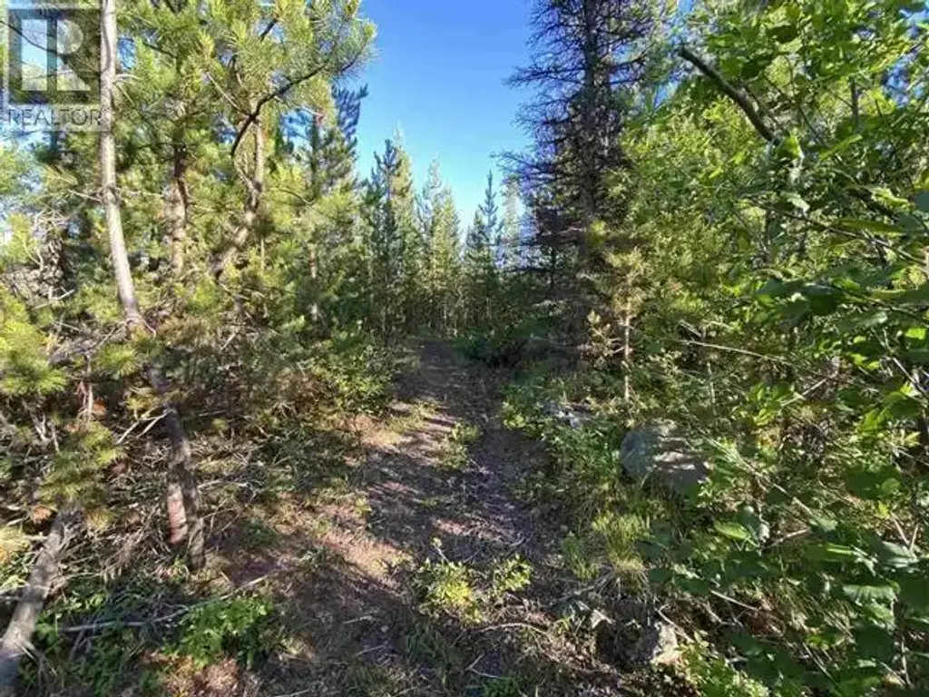 Lot 11 Evergreen Drive, Lone Butte