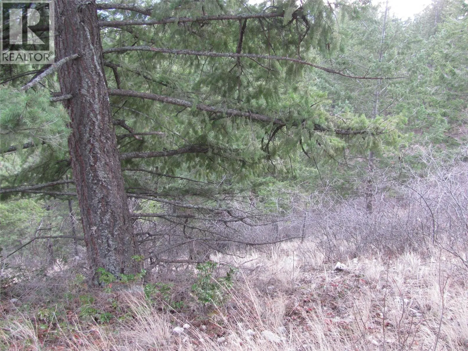 Crown Crescent Lot# 252. Vernon, British Columbia