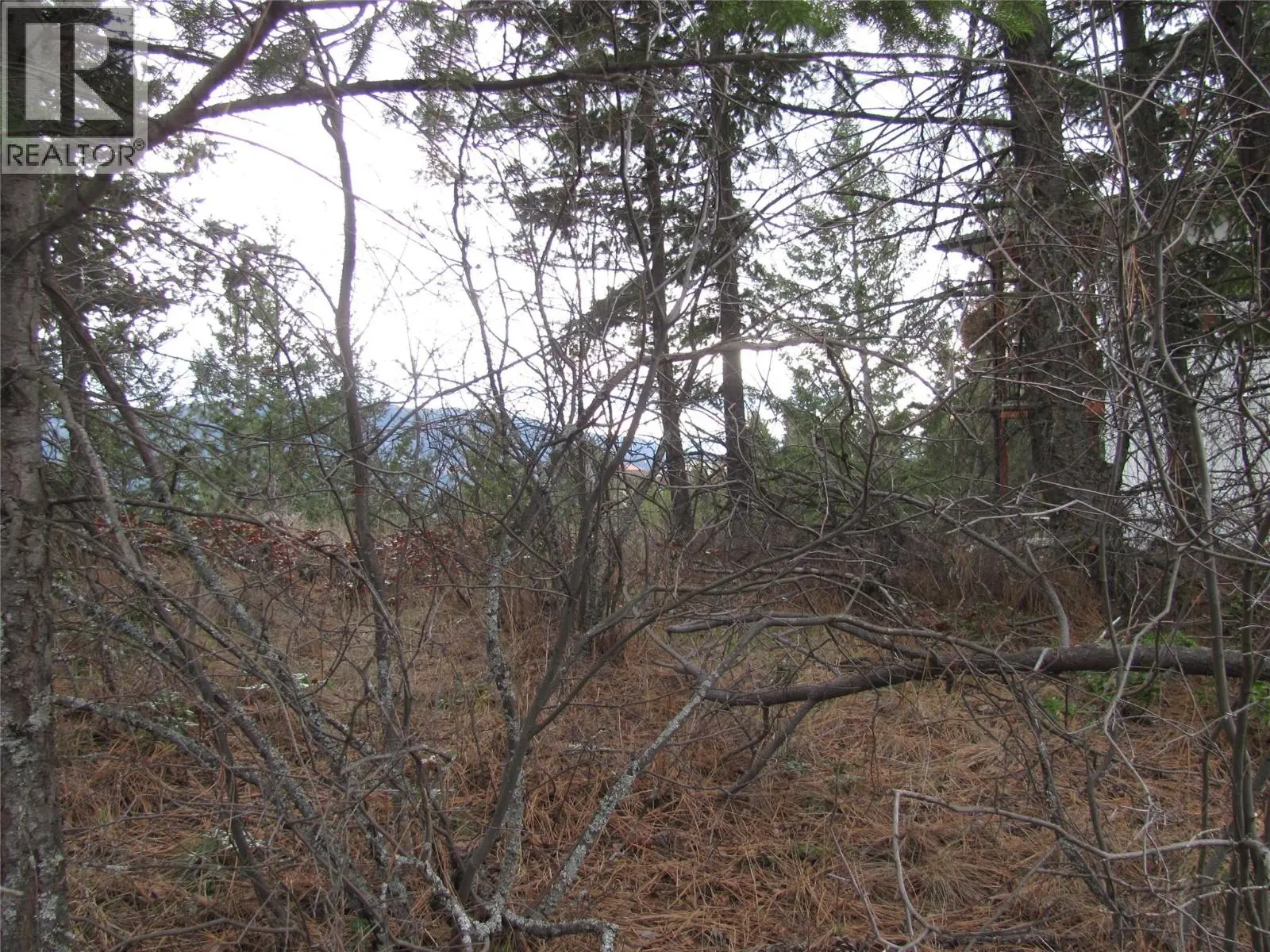 Crown Crescent Lot# 252. Vernon, British Columbia