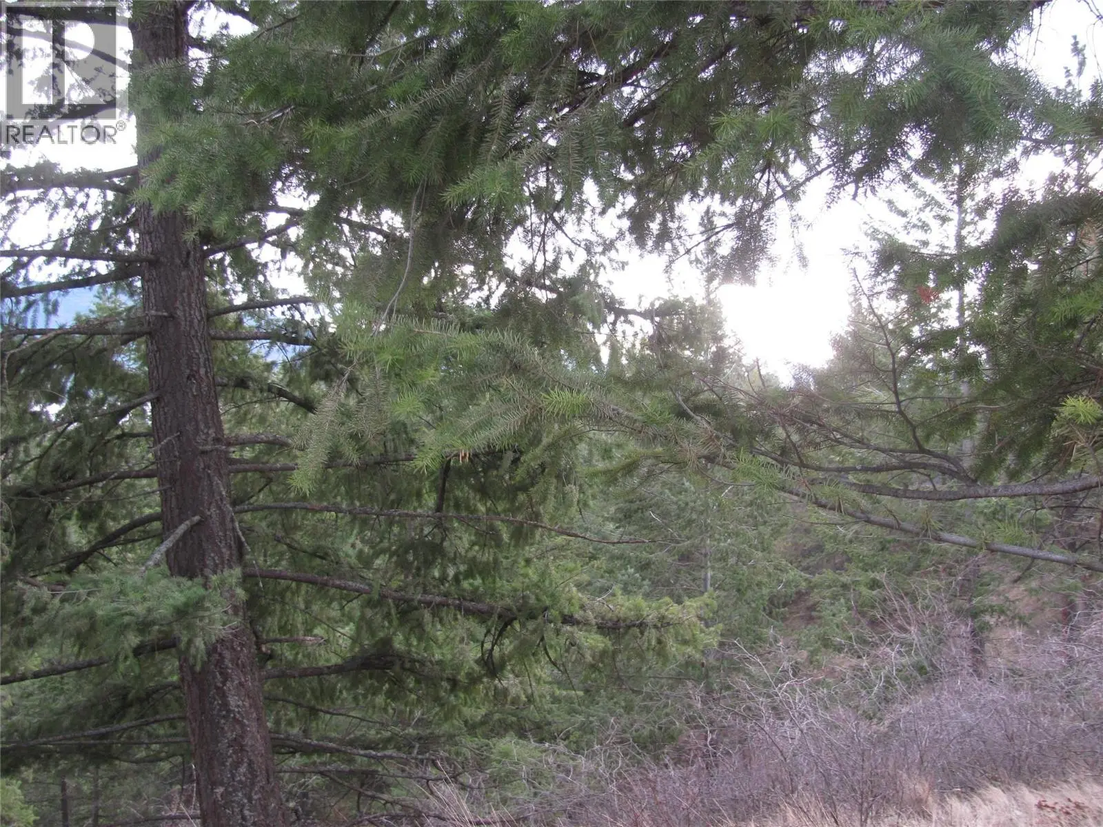 Crown Crescent Lot# 252. Vernon, British Columbia