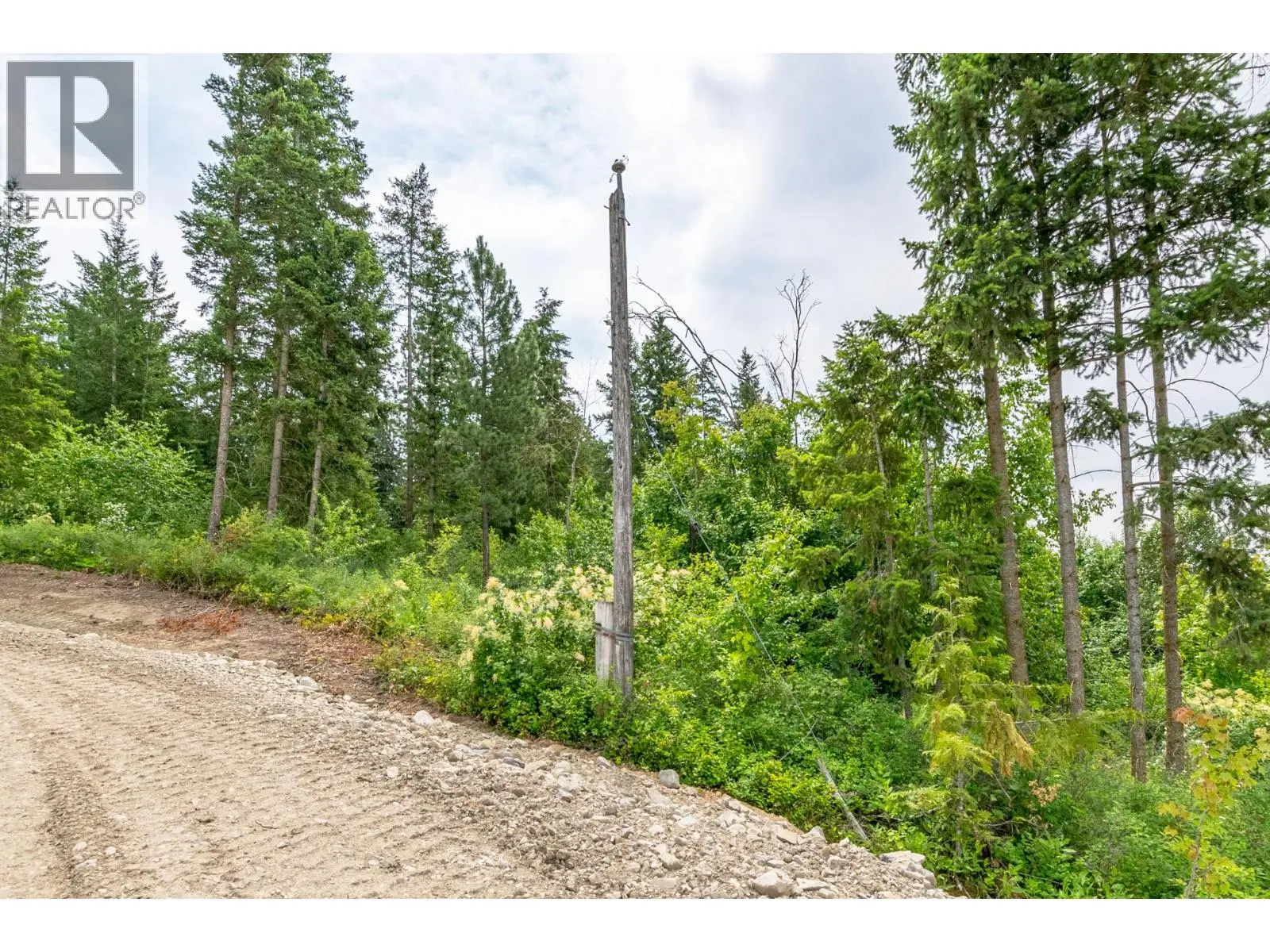 229 Enderby Grindrod Road. Enderby, British Columbia