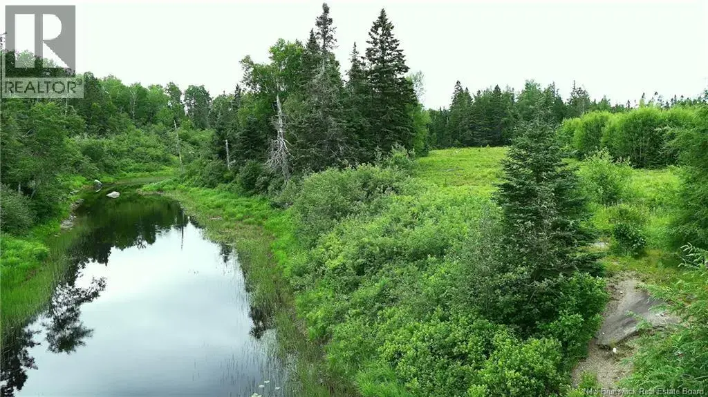 977 Route 770, Bonny River