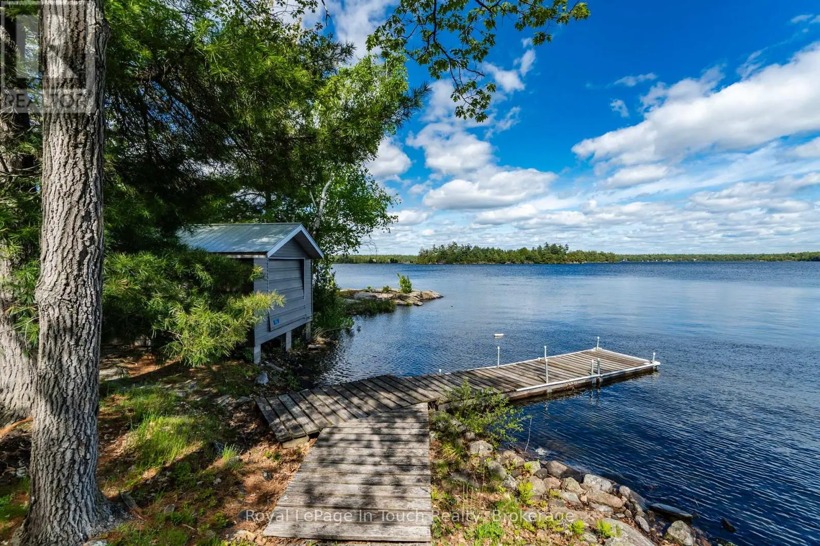 1916 Six Mile Lake Shore Island, Georgian Bay (Baxter)