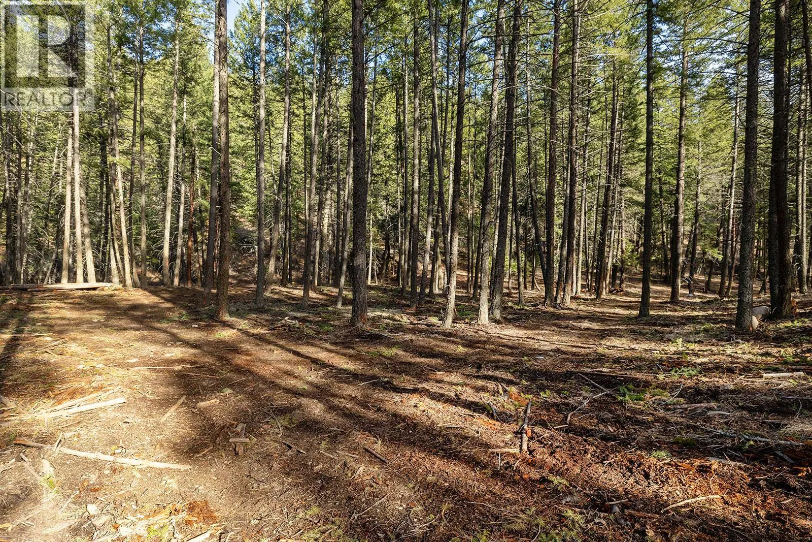Lot A Trepanier Road. Peachland, British Columbia