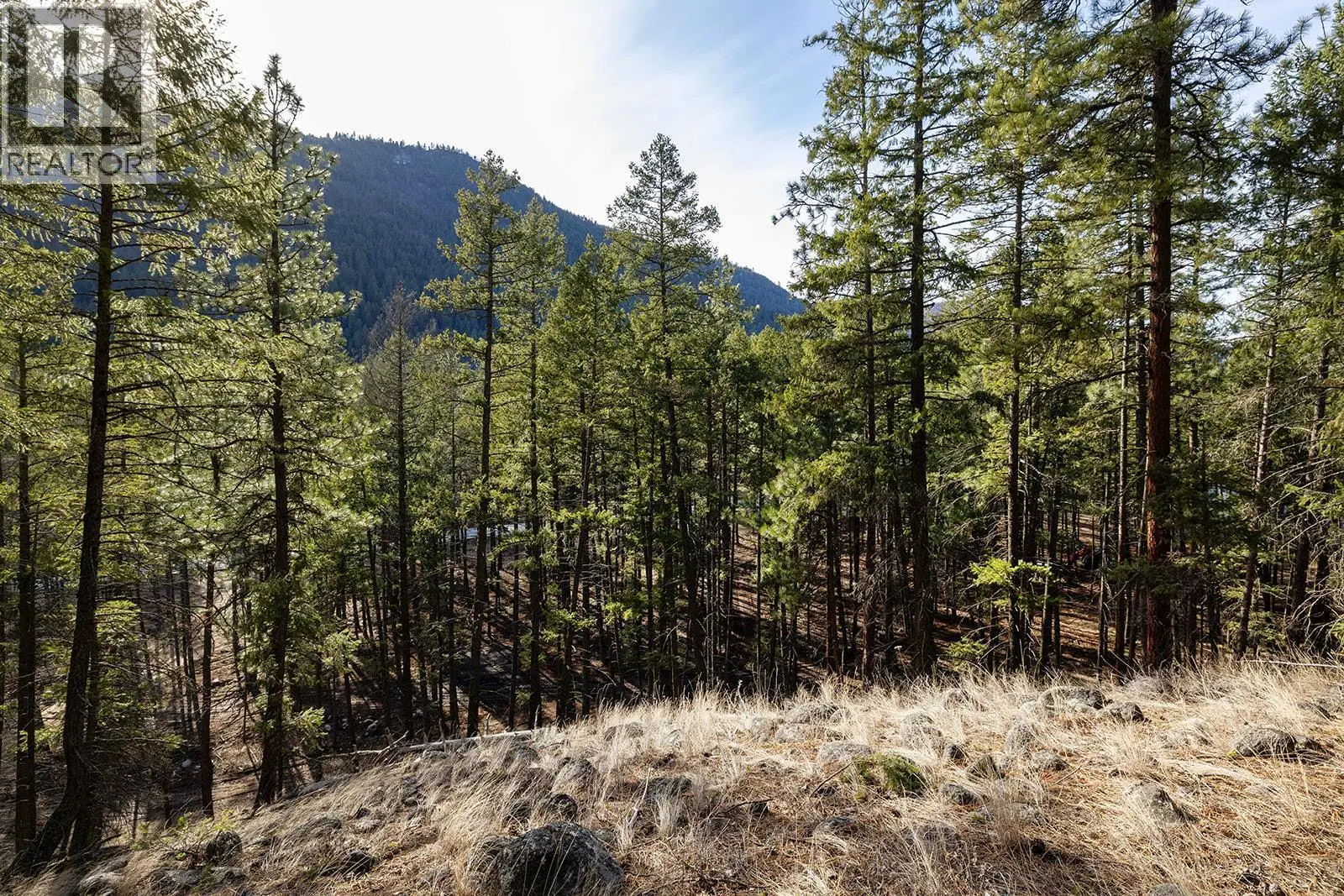 Lot A Trepanier Road. Peachland, British Columbia