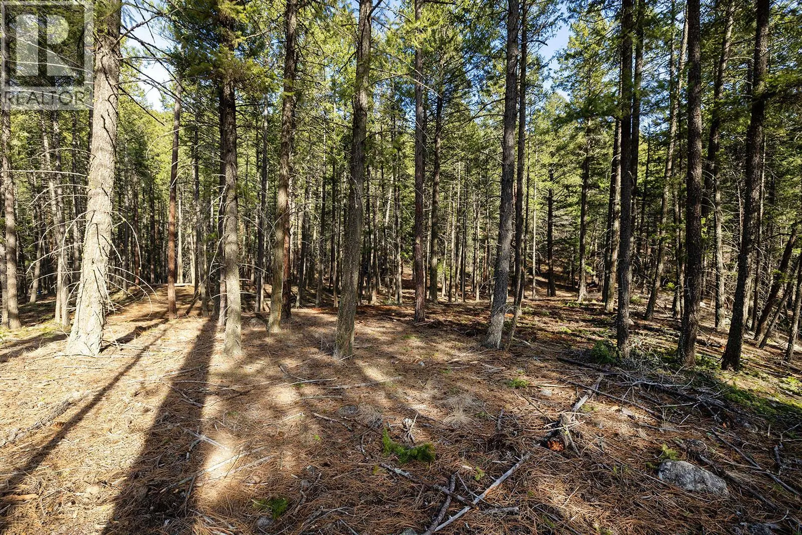 Lot A Trepanier Road. Peachland, British Columbia