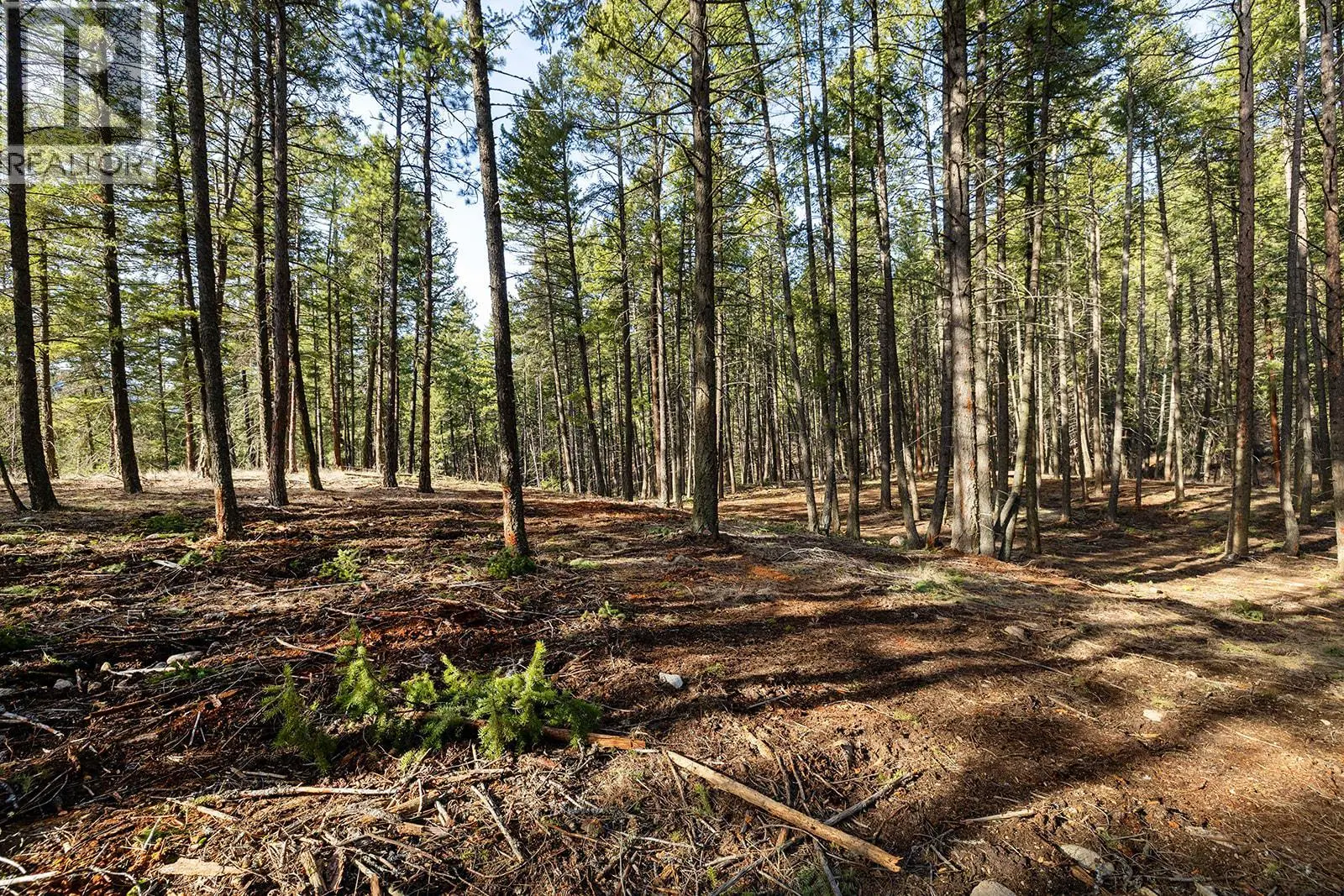 Lot A Trepanier Road. Peachland, British Columbia