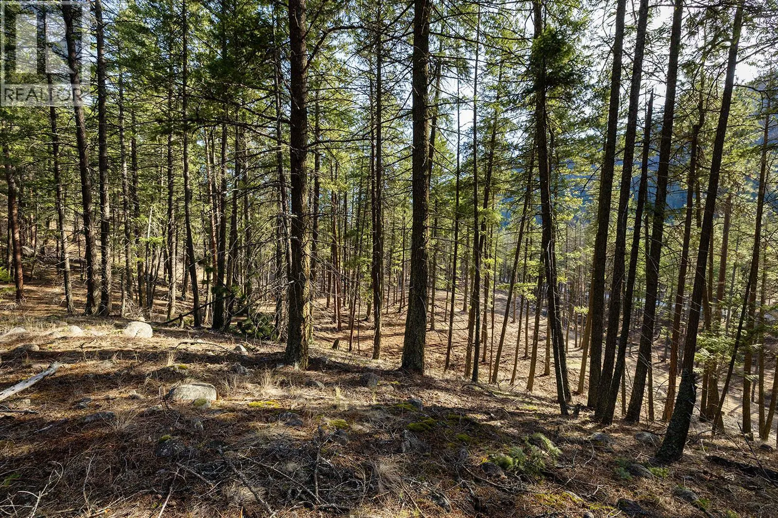 Lot A Trepanier Road. Peachland, British Columbia