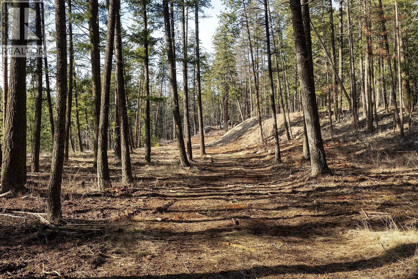 Lot B Trepanier Road. Peachland, British Columbia