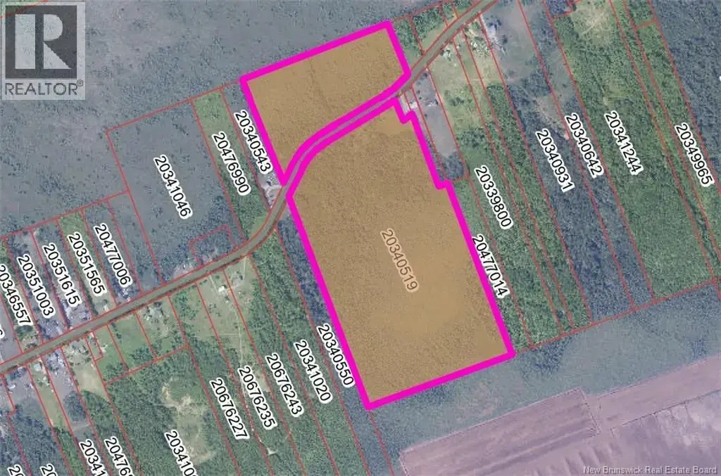Lot Ch Haut-st-simon, Saint-Simon