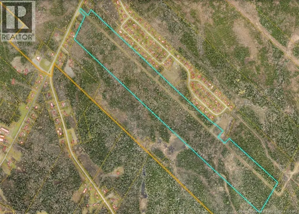 Photo of Listing #NB135681