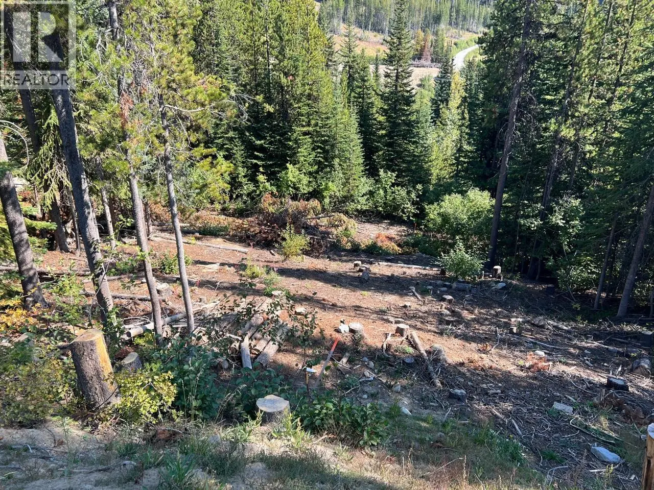 Lot 122 Wapiti Creek Road. Oliver, British Columbia