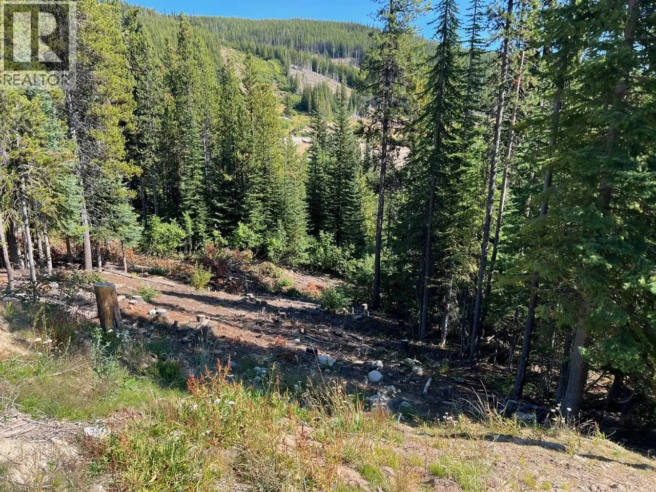Lot 122 Wapiti Creek Road. Oliver, British Columbia