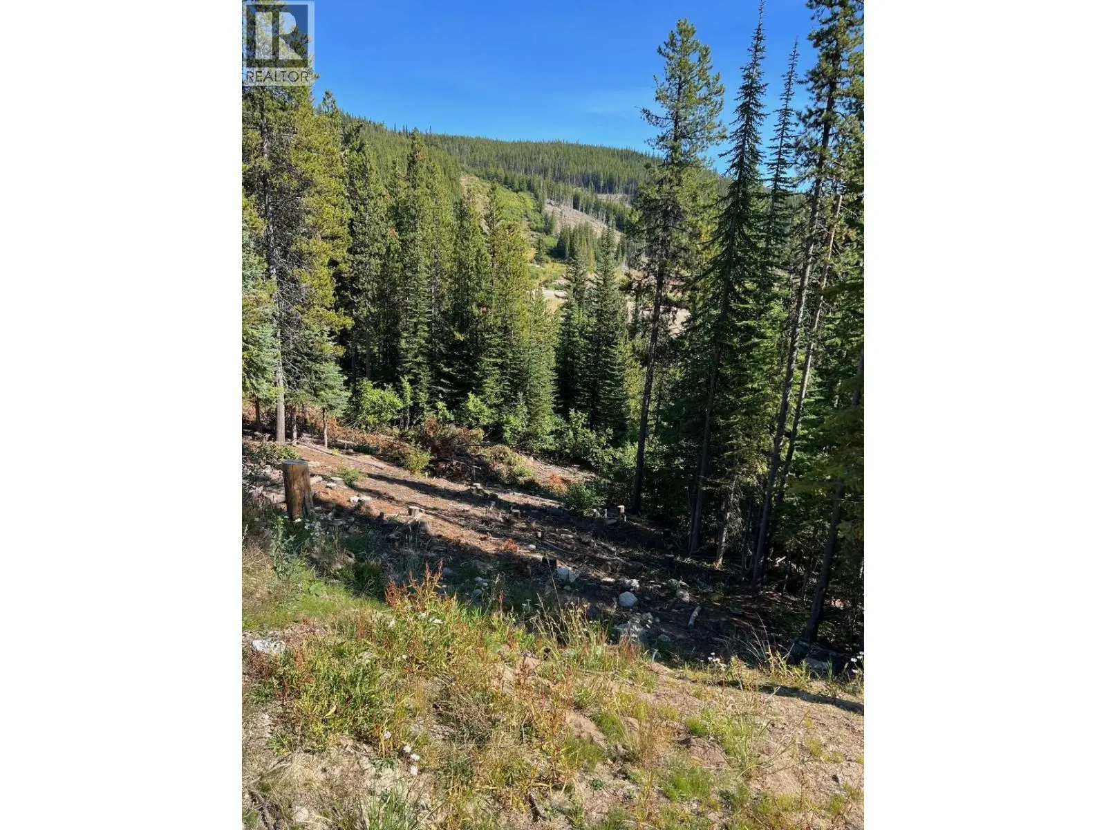 Lot 122 Wapiti Creek Road. Oliver, British Columbia